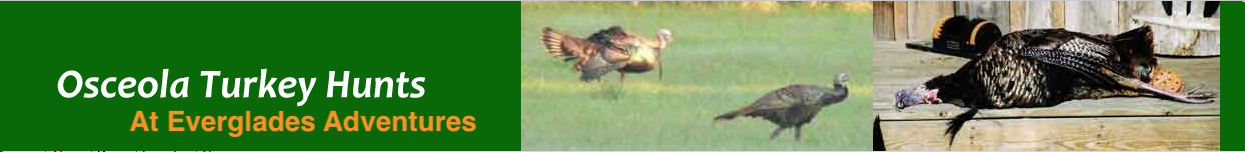 Osceola Turkey Hunts